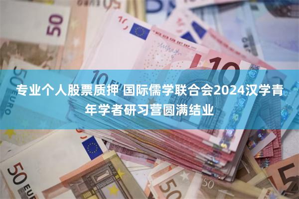 专业个人股票质押 国际儒学联合会2024汉学青年学者研习营圆满结业