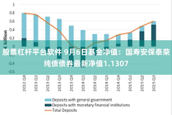 股票杠杆平台软件 9月6日基金净值：国寿安保泰荣纯债债券最新净值1.1307