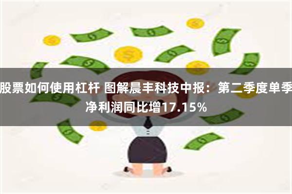 股票如何使用杠杆 图解晨丰科技中报：第二季度单季净利润同比增17.15%