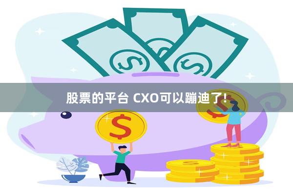 股票的平台 CXO可以蹦迪了!