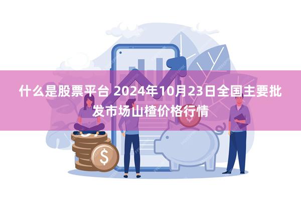 什么是股票平台 2024年10月23日全国主要批发市场山楂价格行情