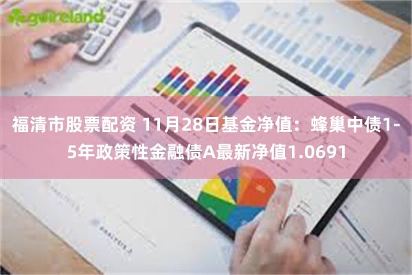 福清市股票配资 11月28日基金净值：蜂巢中债1-5年政策性金融债A最新净值1.