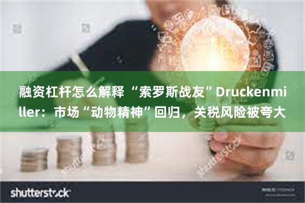 融资杠杆怎么解释 “索罗斯战友”Druckenmiller：市场“动物精神”回归