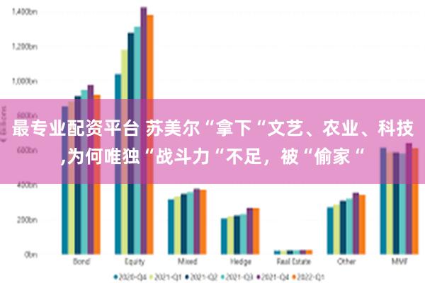 最专业配资平台 苏美尔“拿下“文艺、农业、科技,为何唯独“战斗力“不足，被“偷家