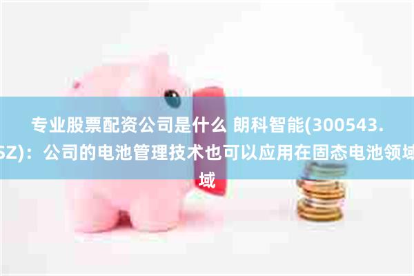 专业股票配资公司是什么 朗科智能(300543.SZ)：公司的电池管理技术也可以